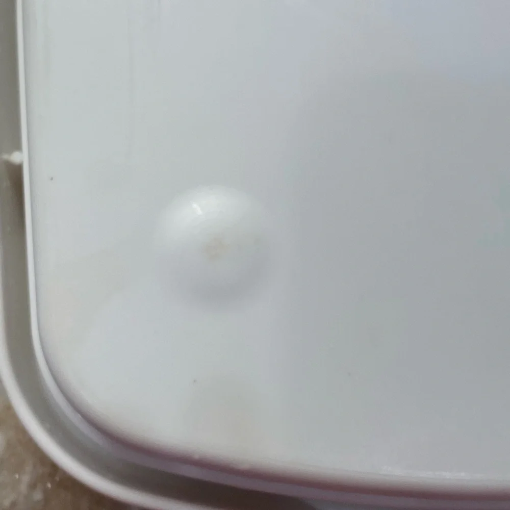Pampered Chef Serving Tray - Picture 13 of 15